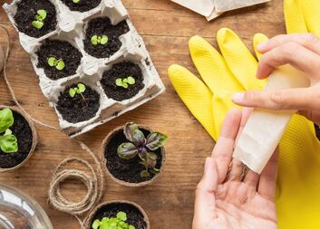 ZASAĎ POMOC: Charita na Třebíčsku rozdává semínka a připomíná, že na těžké životní situace nemusí být nikdo sám