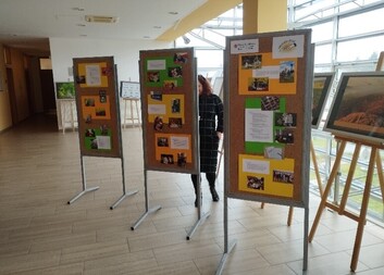 Co dělá raná péče? Výstava STAVÍME MOSTY vám napoví.