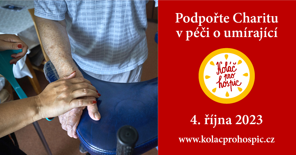 Kolac_2023 Kolac_2023